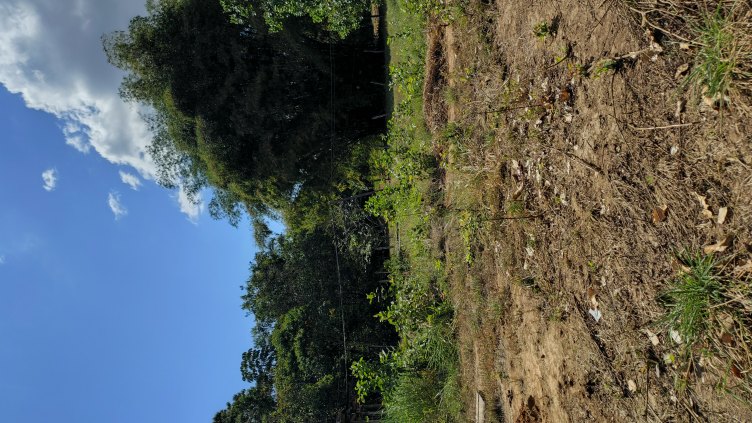 Vende-se  terreno 10x30  40mil