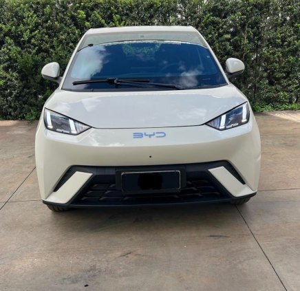 Byd dolphin mini GS 