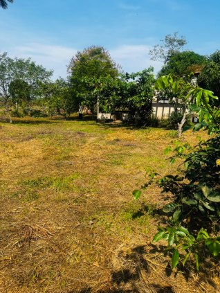 Ótima chácara na Estrada do Rio Preto