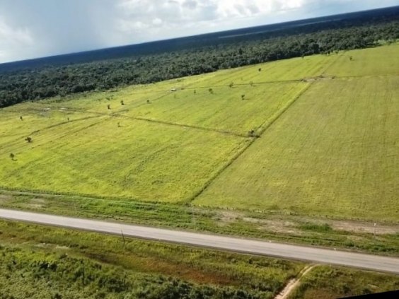Fazenda a venda sentido Humaitá! Beira da BR 319