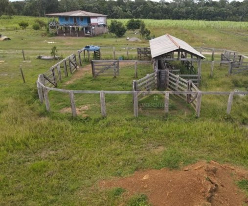 Fazenda a venda 80km de Porto velho RO / 963 hectares 