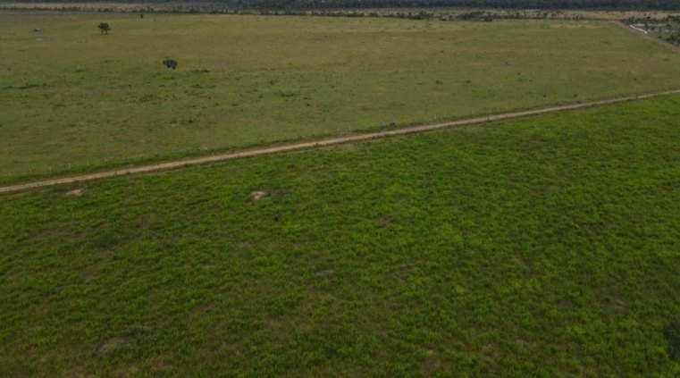Vende-se Fazenda