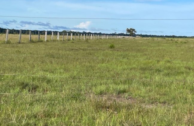 Fazenda a venda 963 hec beira da BR 319/ 