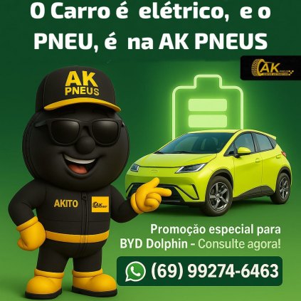 PNEU BYD DOLPHIN 175/55R16 (NOVO)