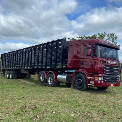 Caminhão Boiadeiro Scania