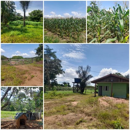 Vende-se um sítio no reassentamento santa rita, km54 sentido jaci parana