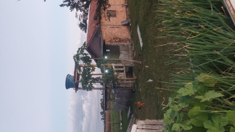 Chácara 