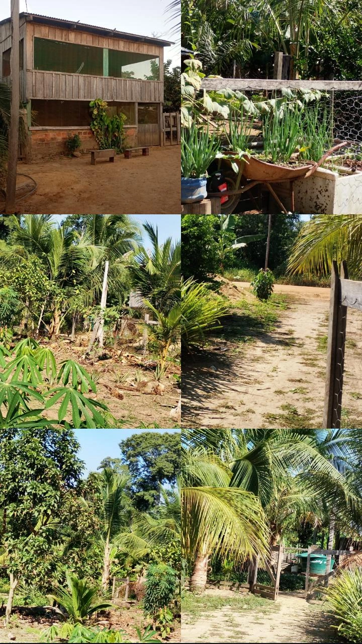 Chácara a venda em Porto velho (Rondônia)