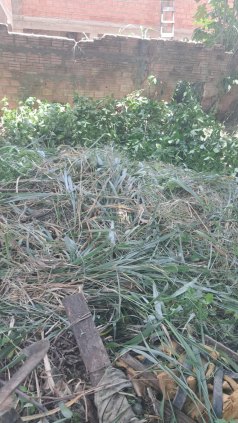 Terreno no Bairro Panair murado e Escriturado 