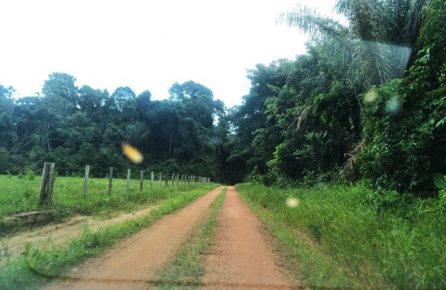 CHÁCARAS PRÓXIMO DE PORTO VELHO