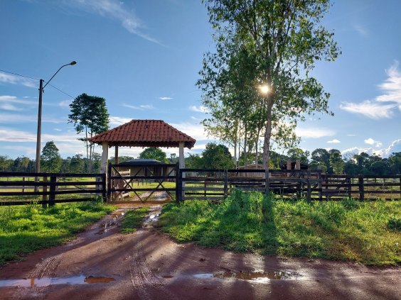 Sítio TOP 10, LInha Caracol - Gleba Jacy Paraná, Porto Velho - RO - é ver e comprar!