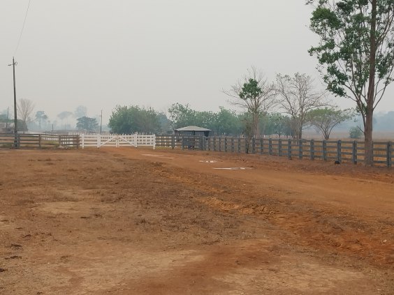 2 Fazendas prontas (612,5 ha) *porteira fechada* -  SEMI-CONFINAMENTO - perto de Porto Velho - visitou COMPROU