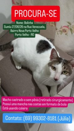 Procura-se