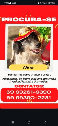 Animal Desaparecido