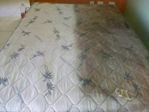 Limpeza e higienização de estofados 