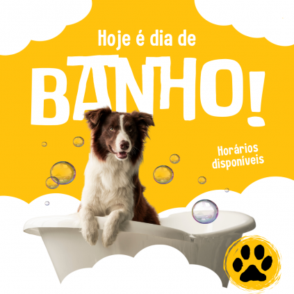 Home Pet - Cuidados e Rotina pet