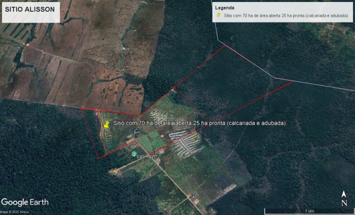 FAZENDINHA TOP! Próximo a Porto Velho - km 17 - Linha C-01 (14 km do asfalto)