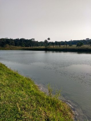 Sítio a 20km de Porto Velho sentido Humaitá escriturado ótimo em piscicultura 