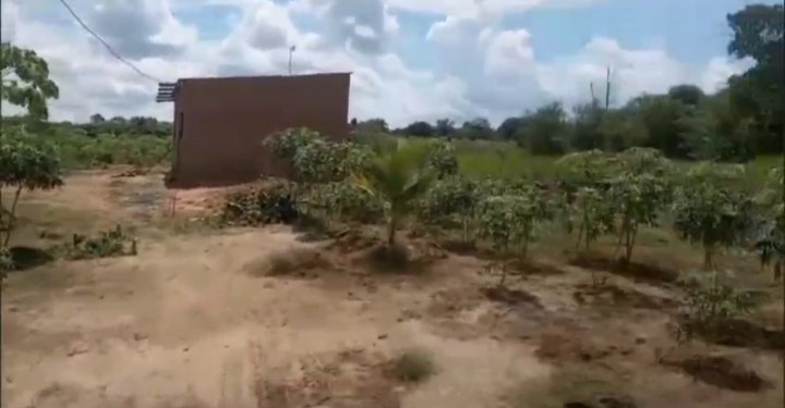 Chácara 