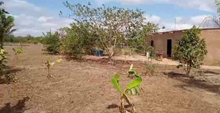 Chácara 