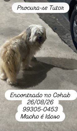 Procura TUTOR