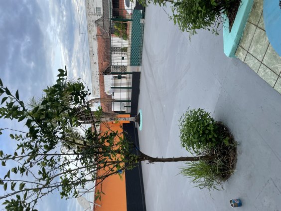 Excelente Imóvel no Centro de Porto Velho, próximo ao SINDSEF/RO.