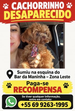 Cachorrinho Desaparecido (Paga Recompensa)