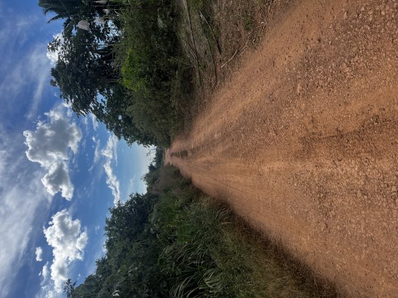 Chácara na Estrada do Rio Preto R$ 70.000,00