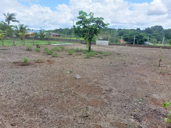 terreno de esquina 20x30 próximo agrovila. do outro lado do rio. quitado. 3 minutos da ponte.