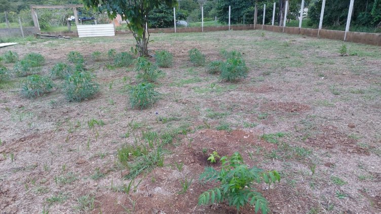 terreno de esquina 20x30 próximo agrovila. do outro lado do rio. quitado. 3 minutos da ponte.