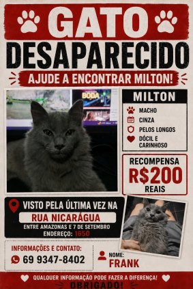 GATO PERDIDO