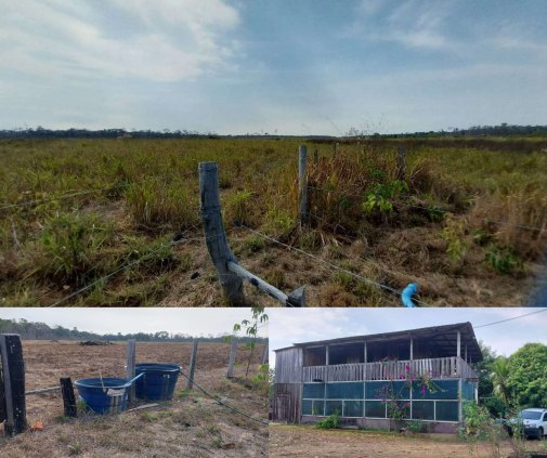 FAZENDINHA TOP! Próximo a Porto Velho - km 17 - Linha C-01 (14 km do asfalto)