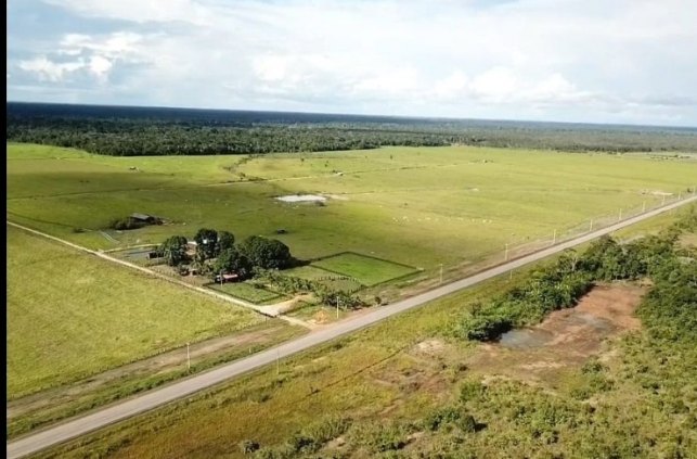 Fazenda a 114km de Porto Velho  sentido Humaitá/documento pertence ao Estado de Rondônia 