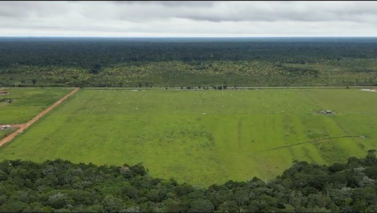 Fazenda a 114km de Porto Velho  sentido Humaitá/documento pertence ao Estado de Rondônia 