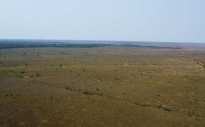 Fazenda a venda com 1.122 hectares a 90km de Porto Velho sentido Humaitá/ título definitivo 