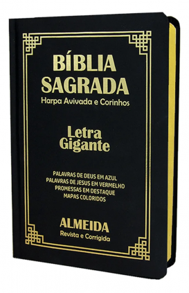 Bíblia masculina 
