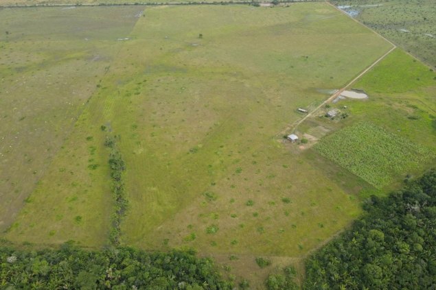 Vende-se está Fazenda a 90km de Porto Velho Rondônia Beira da BR 319
