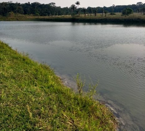 Vende-se um sítio a 20km de Porto Velho sentido Humaitá com tanques de peixes e 10 hectares em pasto 