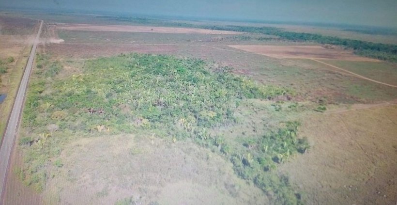  Fazenda a venda 963 hectares 85km de Porto Velho beira BR 319 R$ 8.000.000,00