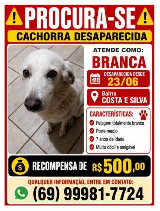 CADELA PERDIDA
