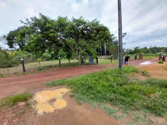 Chácara na estrada do Areia Branca - oportunidade ÚNICA