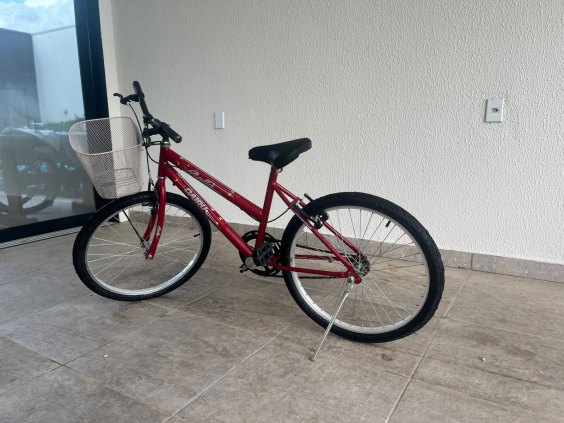 Bicicleta Feminina