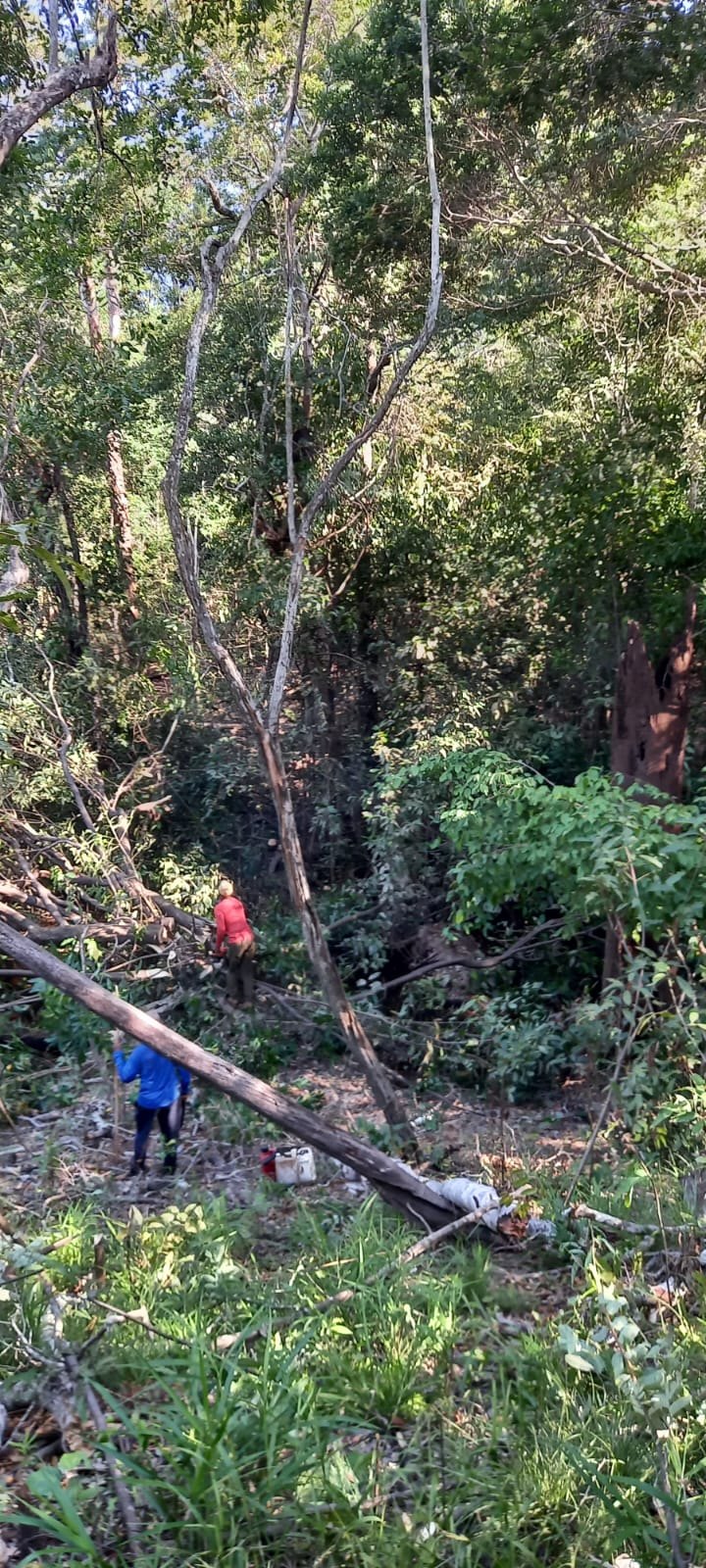 ÁREA RURAL À VENDA