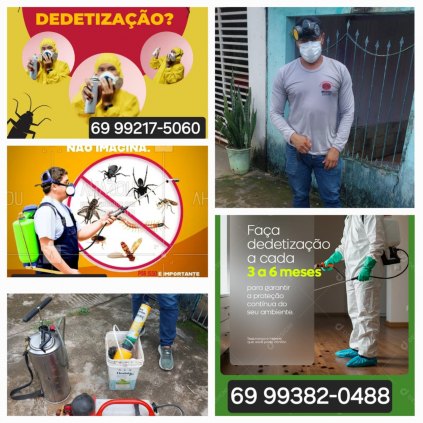 Serviços de Dedetização em Porto Velho-RO- lockdown