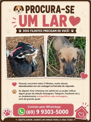 Filhotes de Cachorro