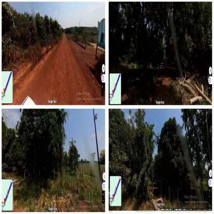 Área Rural em Porto Velho na Estada do Jatuarana RO 006 a 30km após a ponte do Rio Madeira