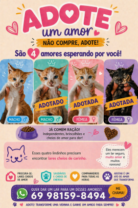 Adoção de gato.