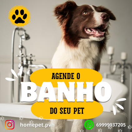 Home Pet - Cuidados e Rotina pet