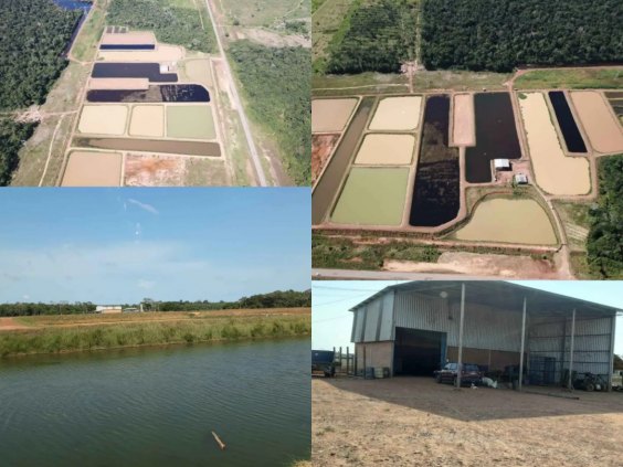 Fazenda a venda otima em Piscicultura e 70 hectares em pastopróximo Porto velho Rondônia na beira da BR 364